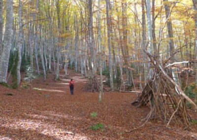 BAÑO DE BOSQUE EN EL VALLE DE TENA
